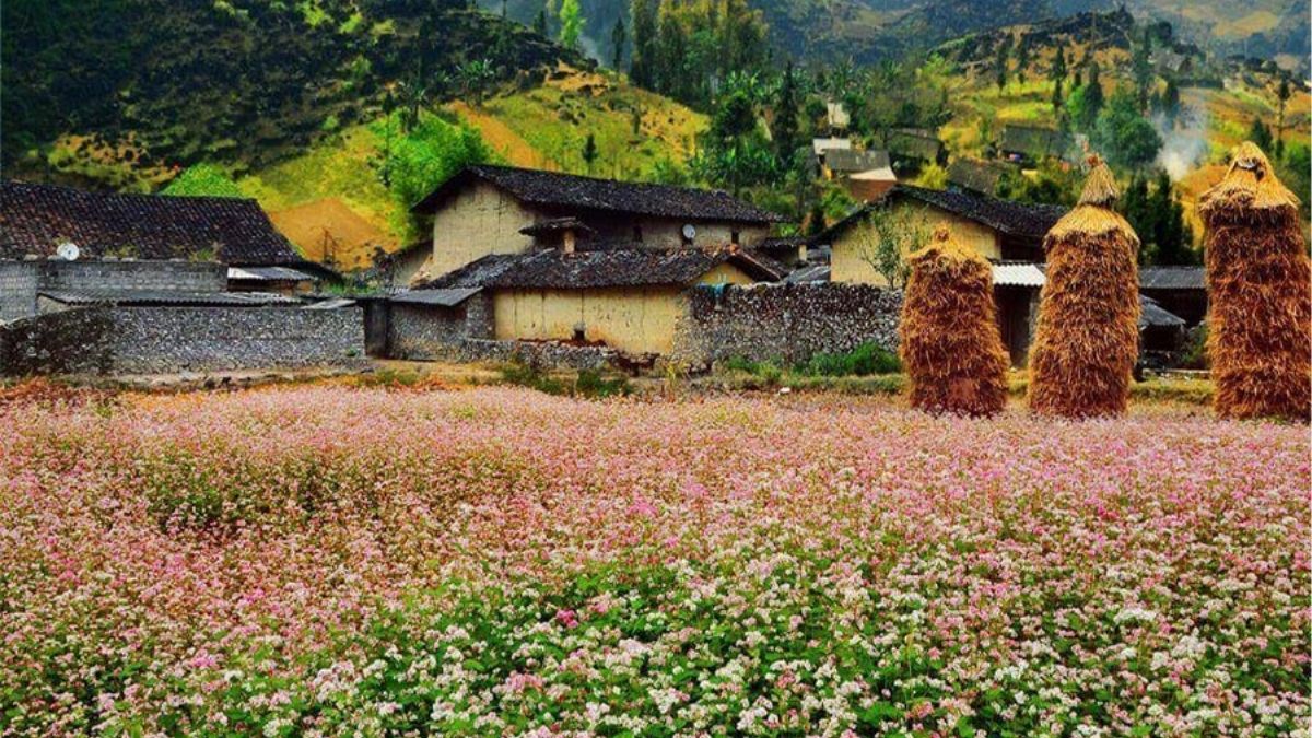 visit-ha-giang-in-november-4.jpg