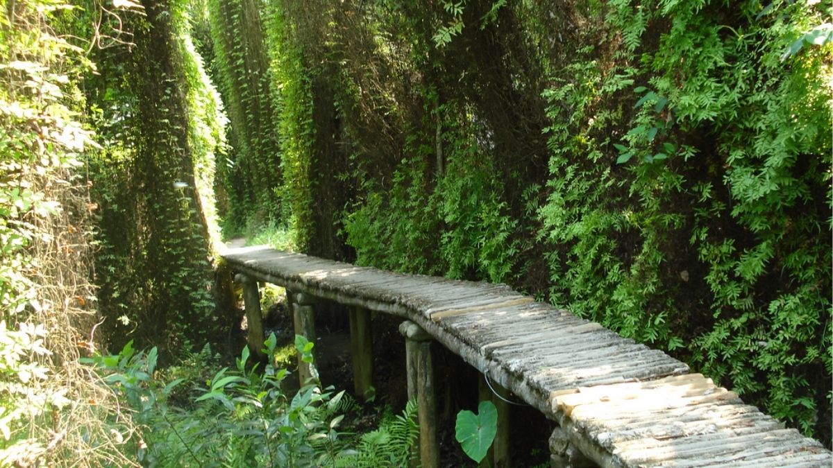 xeo-quyt-ecotourism-3