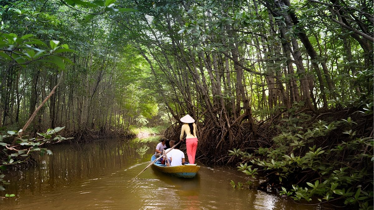 ycan-gio-mangrove-forest-6